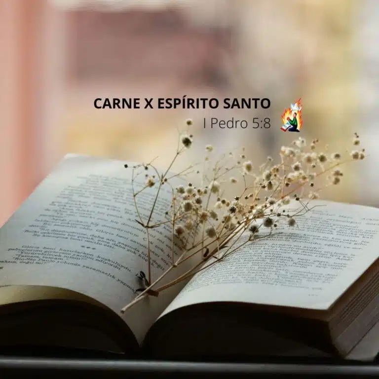CARNE X ESPÍRITO SANTO – I Pedro 5:8